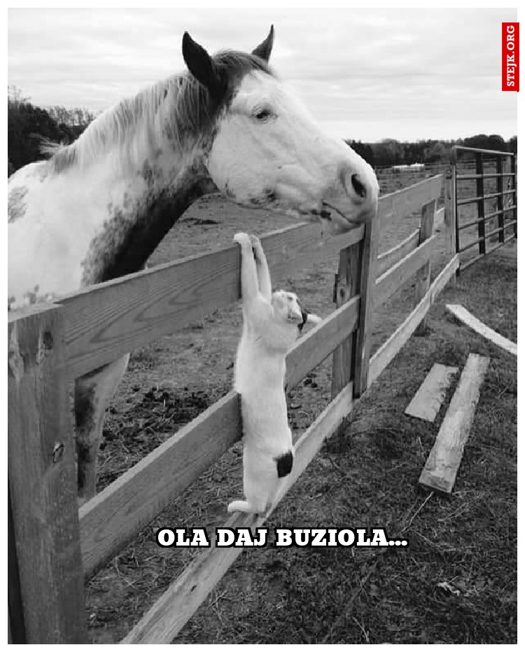 ola daj buziola...