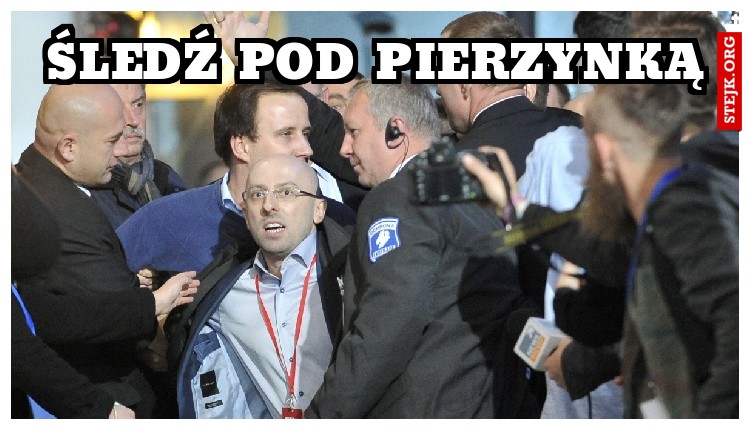 ŚLEDŹ POD PIERZYNKĄ