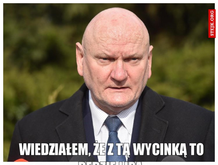 Wiedziałem, że z tą wycinką to będzie Lipa 