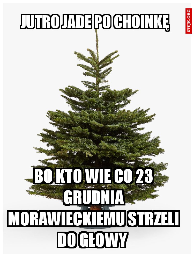 Jutro jade po choinkę 