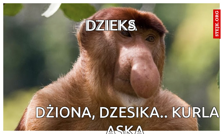 Dzieka