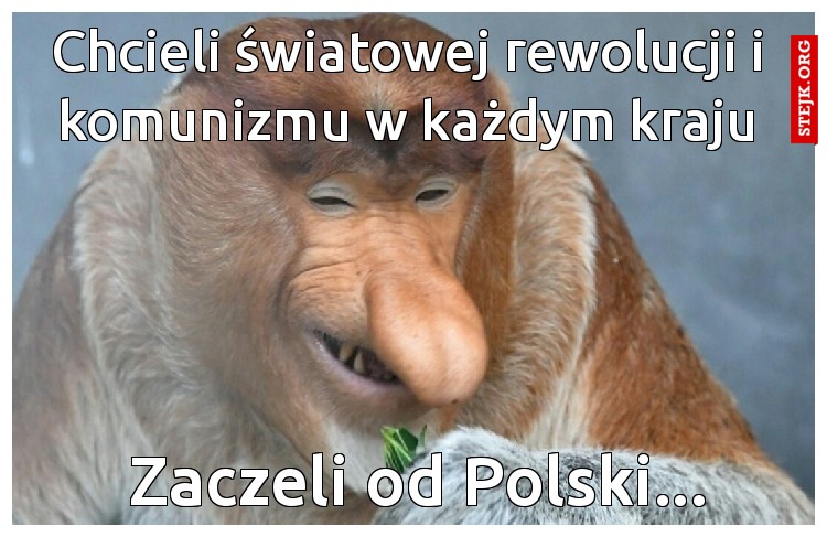 Chcieli światowej rewolucji i komunizmu w każdym kraju
