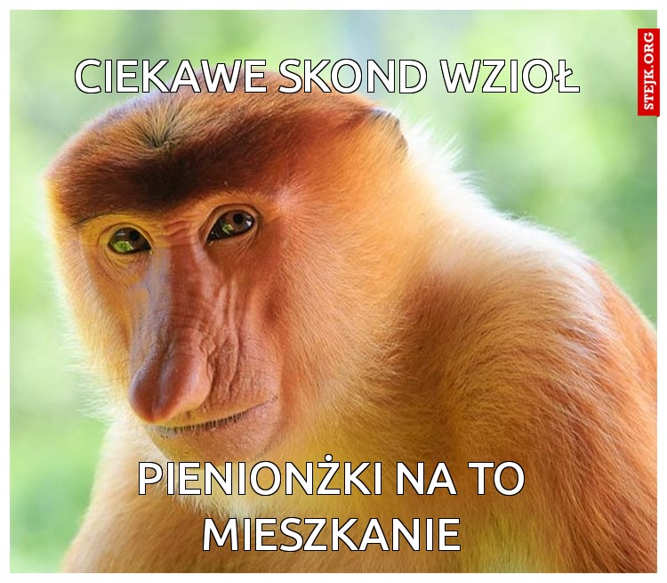 CIEKAWE SKOND WZIOŁ 