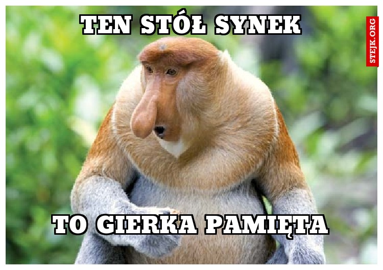 TEn Stół Synek 