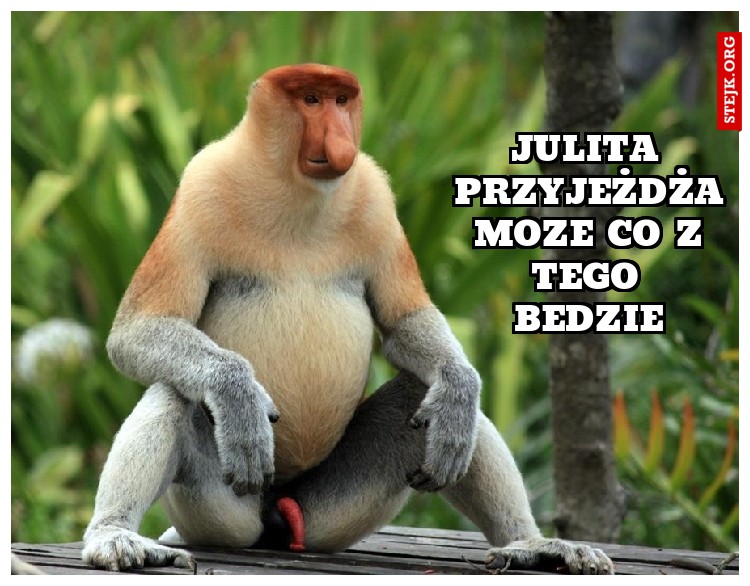 julita przyjeżdża moze co z tego bedzie