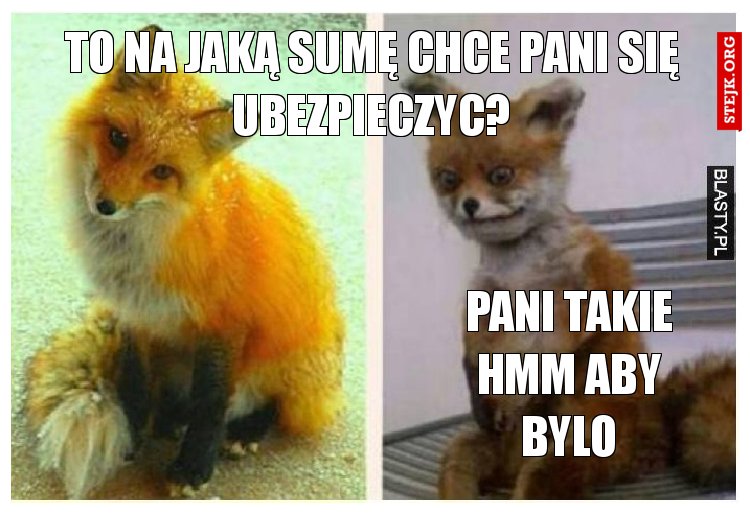 To na jaką sumę chce Pani się ubezpieczyc?