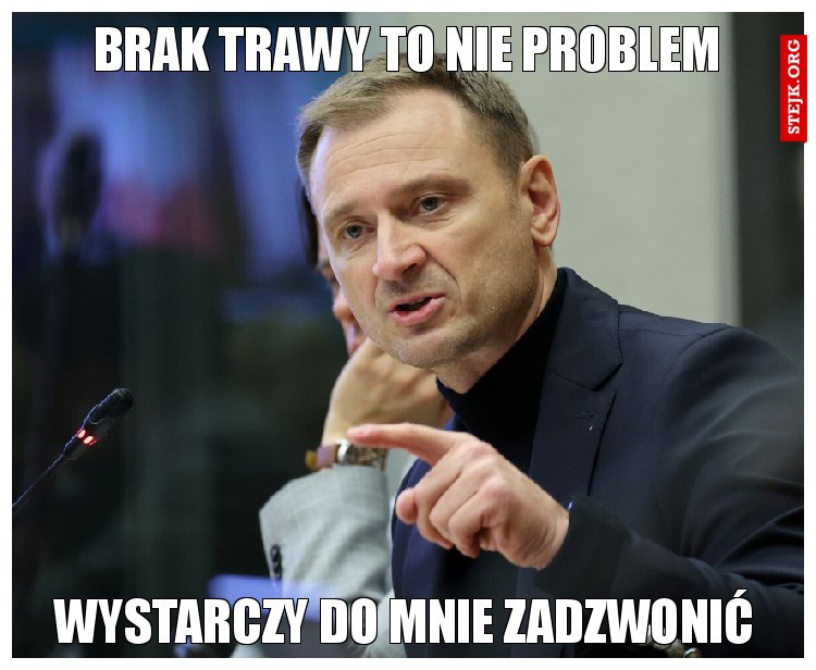 Brak trawy to nie problem