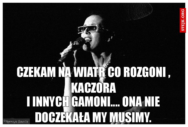Czekam na wiatr co rozgoni , kaczora