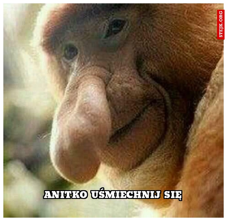 Anitko uśmiechnij się