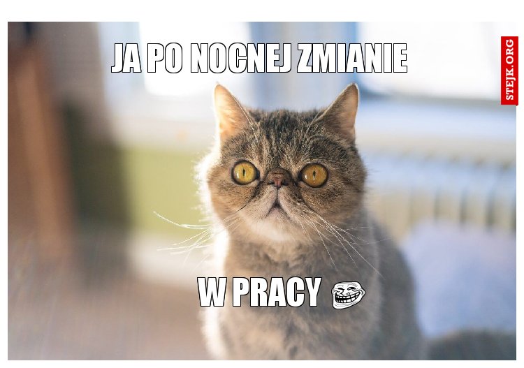 Ja po nocnej zmianie