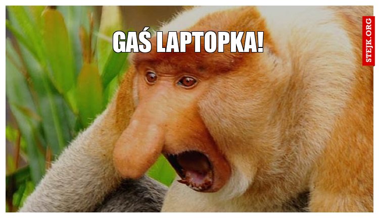 Gaś laptopka!