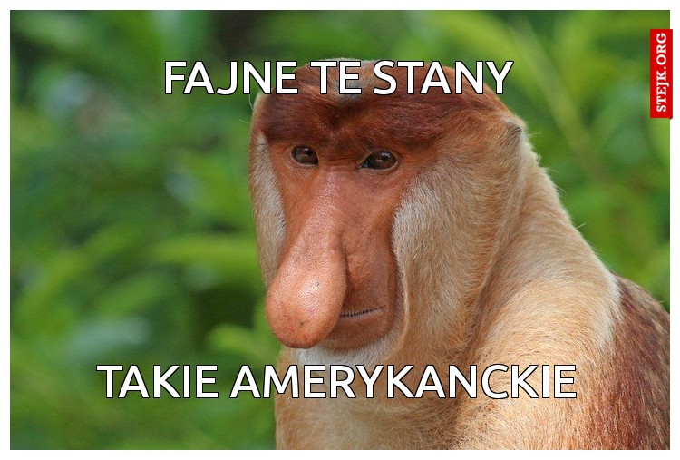 Fajne te stany