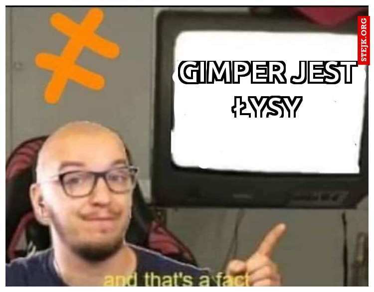 Gimper jest łysy