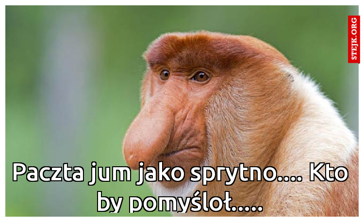 Paczta jum jako sprytno.... Kto by pomyśloł.....