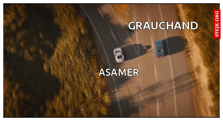 Asamer