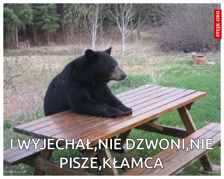 I wyjechał,nie dzwoni,nie pisze,kłamca