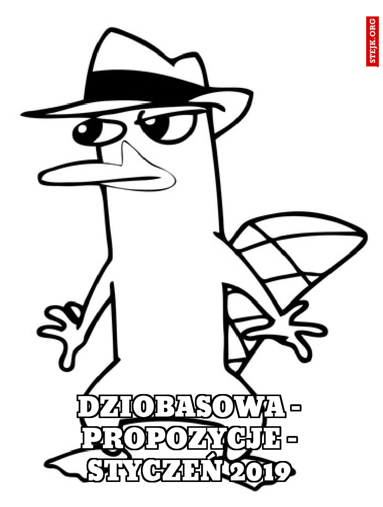 Dziobasowa - Propozycje - Styczeń 2019