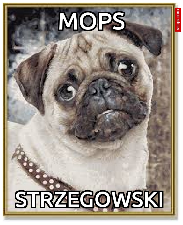 MOPS
