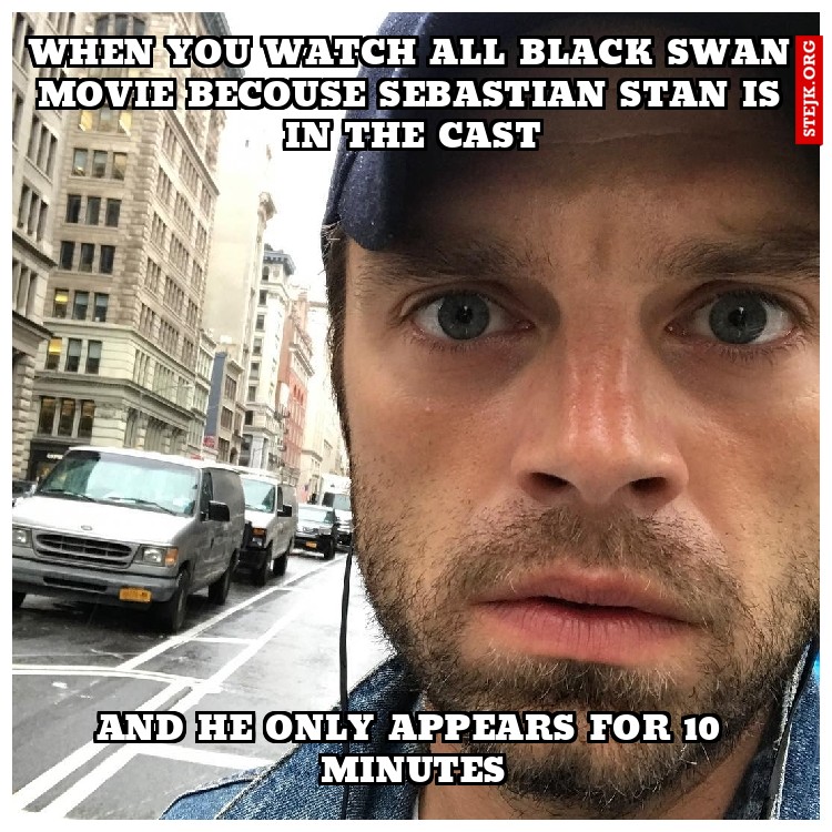 When you watch all Black Swan movie becouse Sebastian Stan is in the cast