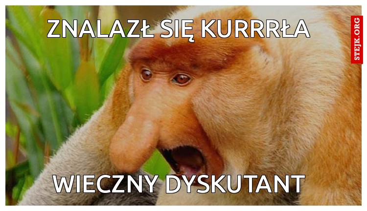 Znalazł się kurrrła
