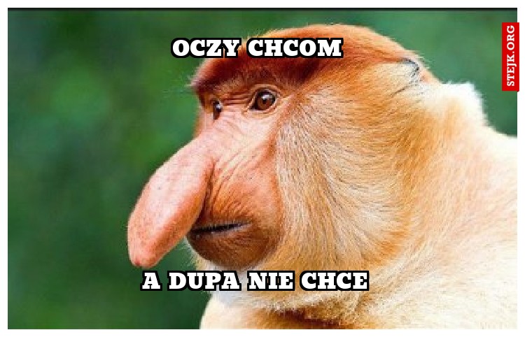 OCZY ChCom