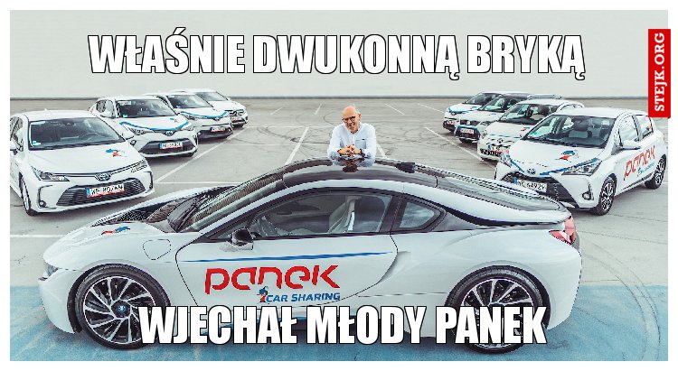 właśnie dwukonną bryką