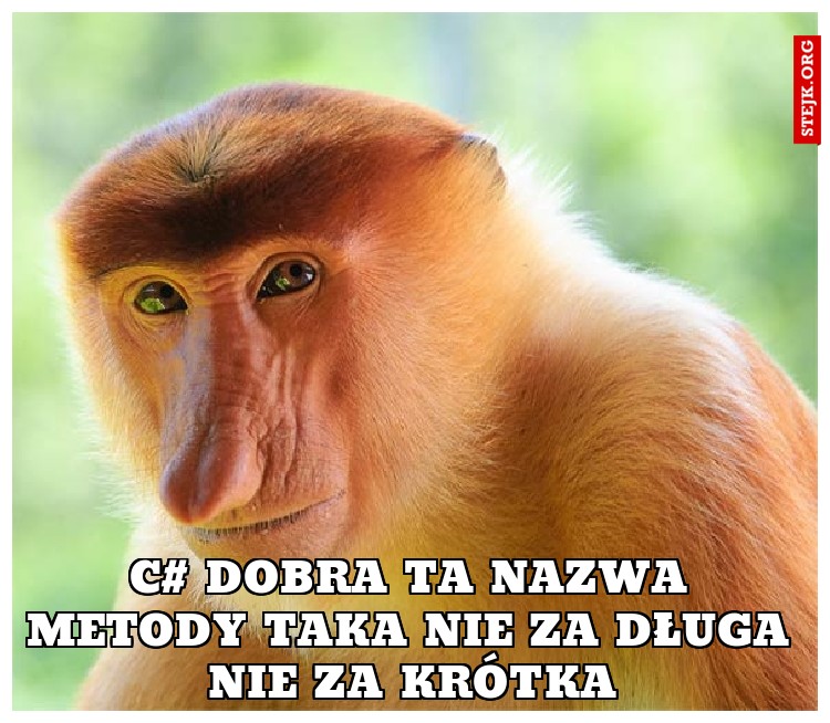 c# Dobra ta nazwa metody taka nie za długa nie za krótka