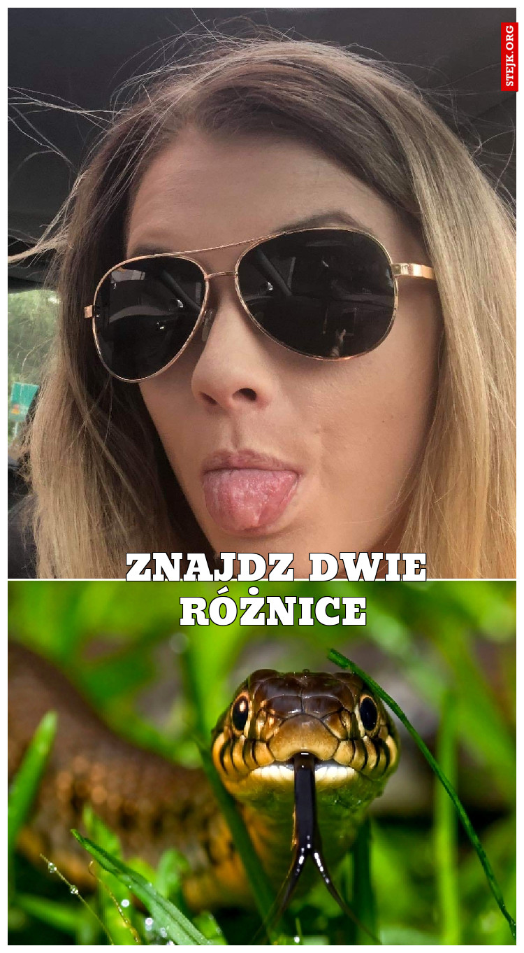 znajdz    dwie  