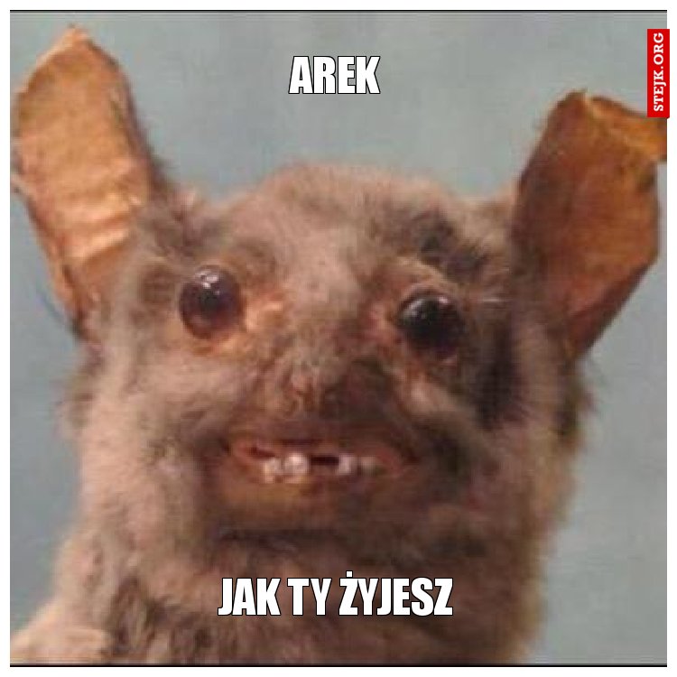 Arek,