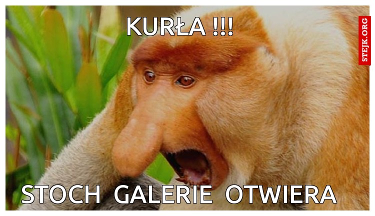 kurła !!!