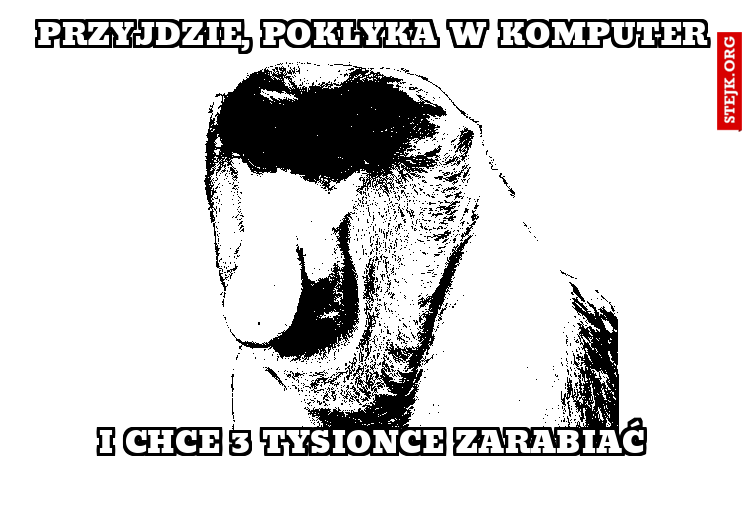 Przyjdzie, poklyka w komputer
