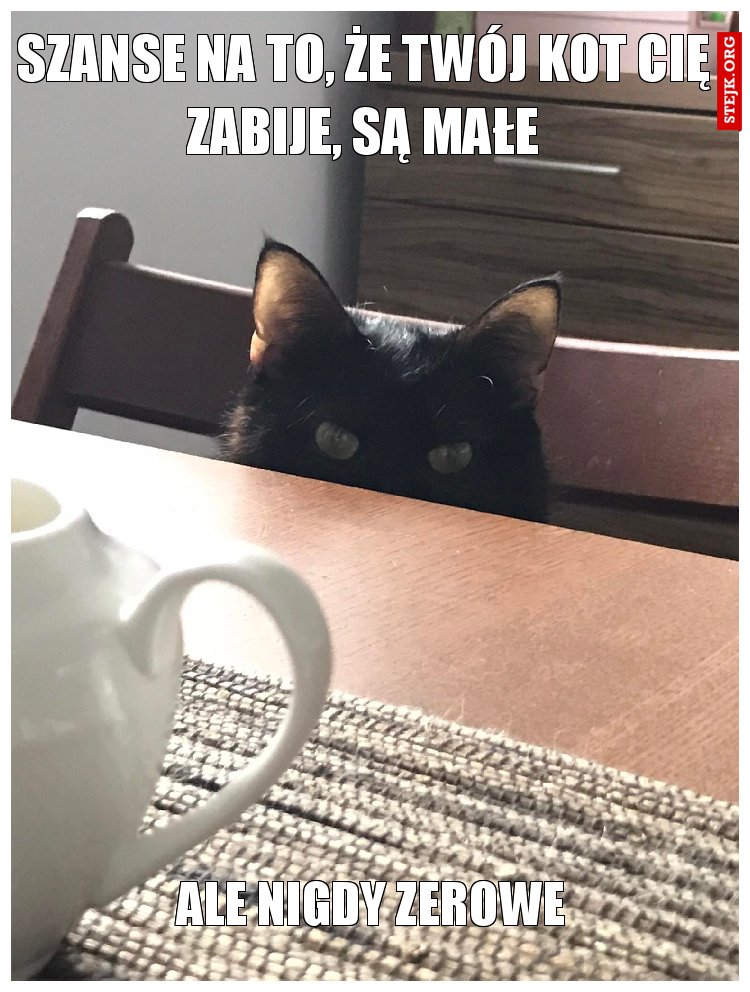 SZANSE NA TO, ŻE TWÓJ KOT CIĘ ZABIJE, SĄ MAŁE