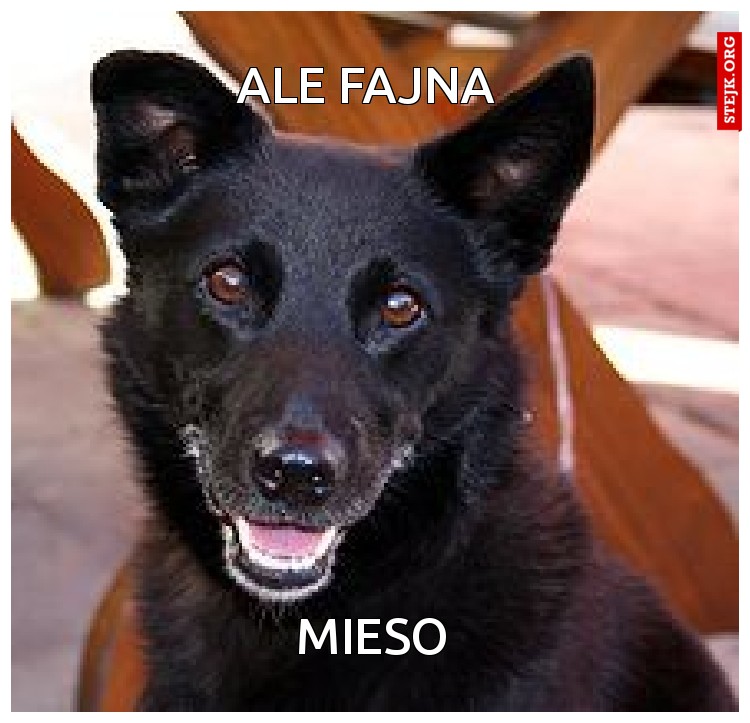 ale fajna 