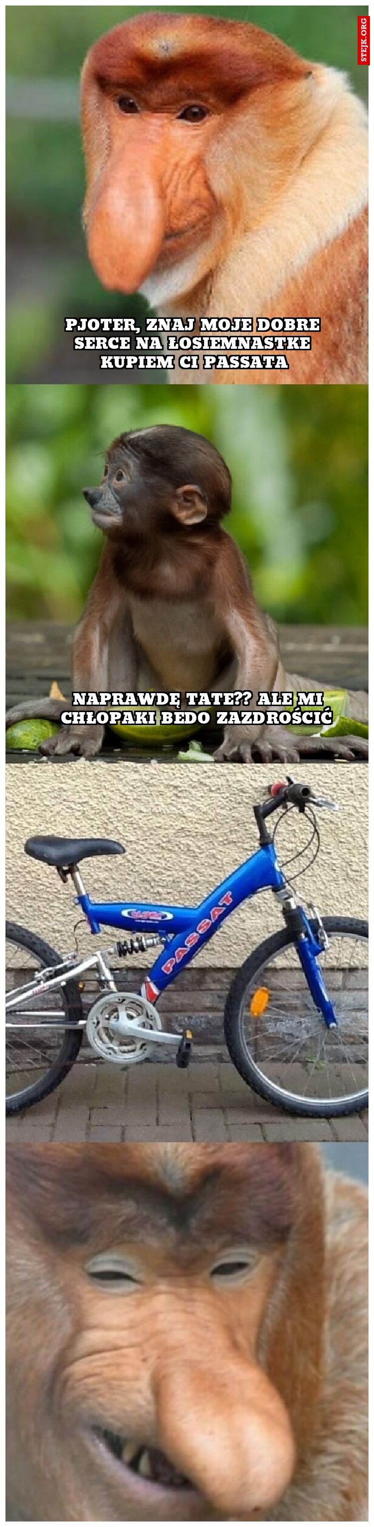 Pjoter, znaj moje dobre serce na łosiemnastke kupiem ci passata