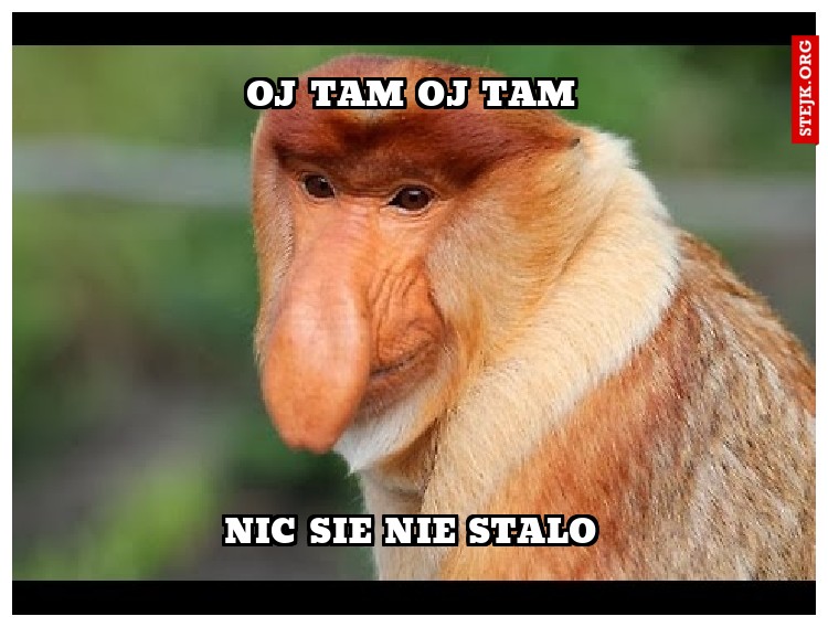 Oj tam oj tam