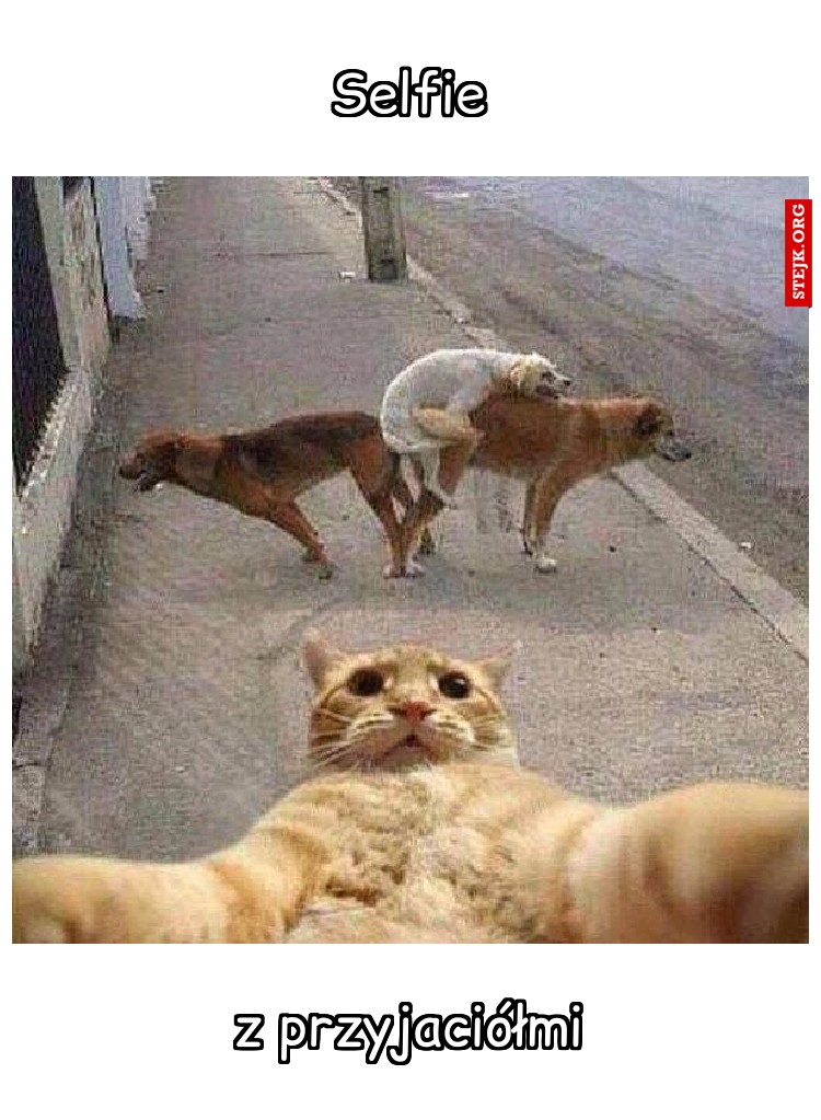 Selfie