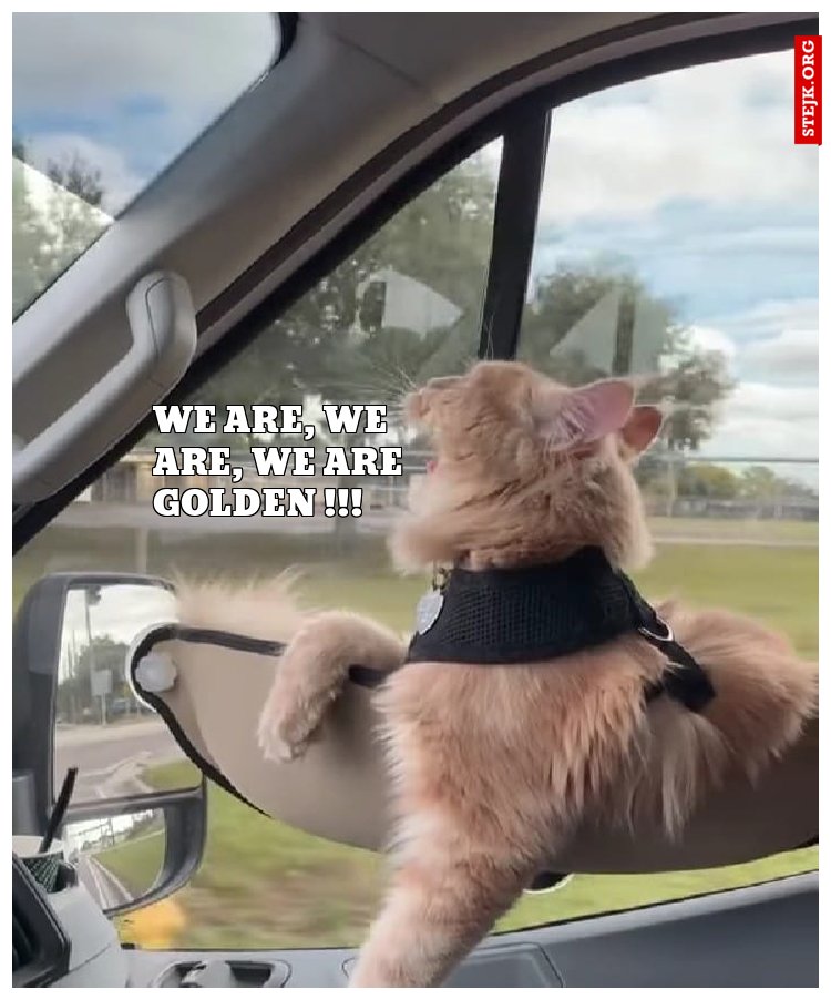 WE ARE, WE ARE, WE ARE GOLDEN !!!