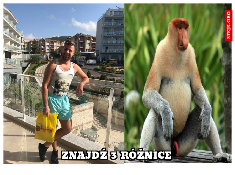 Znajdź 3 różnice