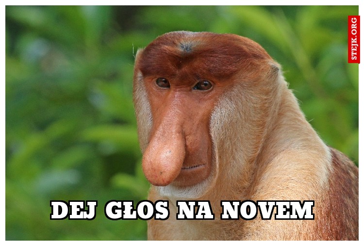 DEJ GŁOS NA NOVEM