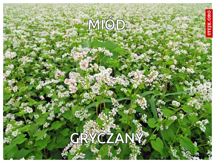 miód