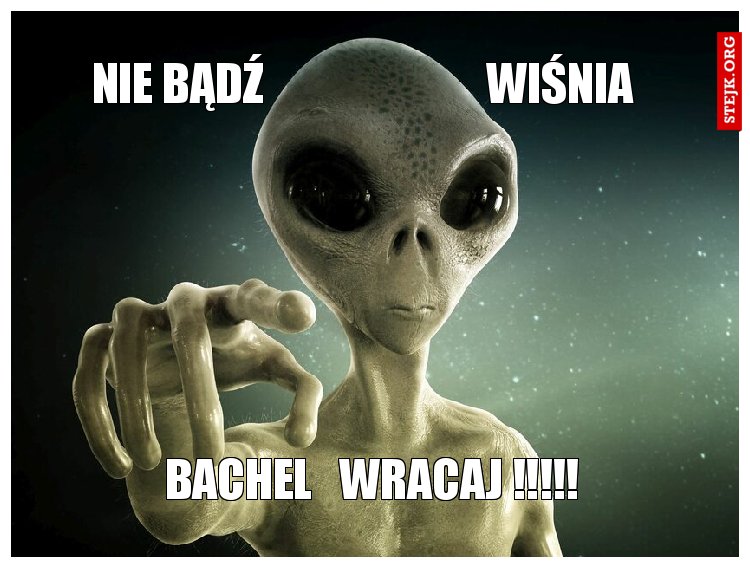 Bachel   wracaj !!!!!