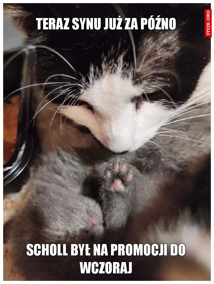 teraz synu już za późno
