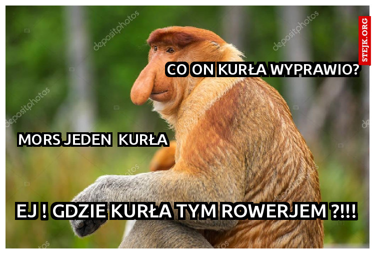                                             co on kurła wyprawio?          