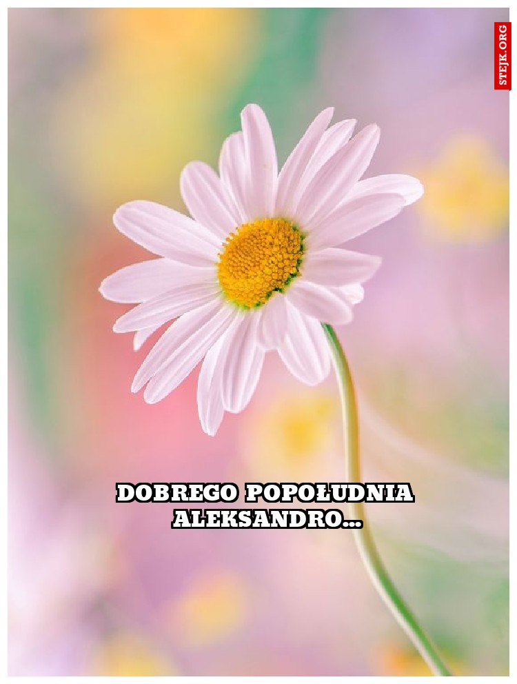 Dobrego popołudnia aleksandro...