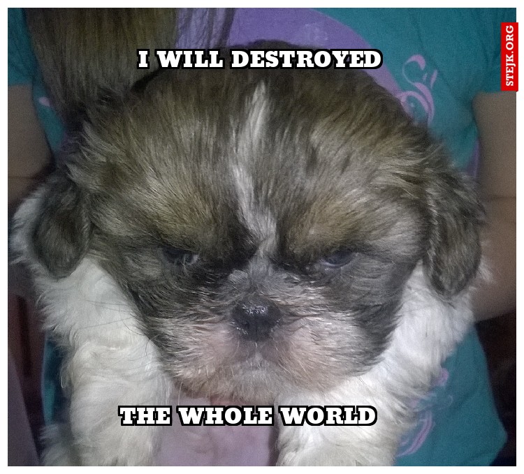I will destroyed