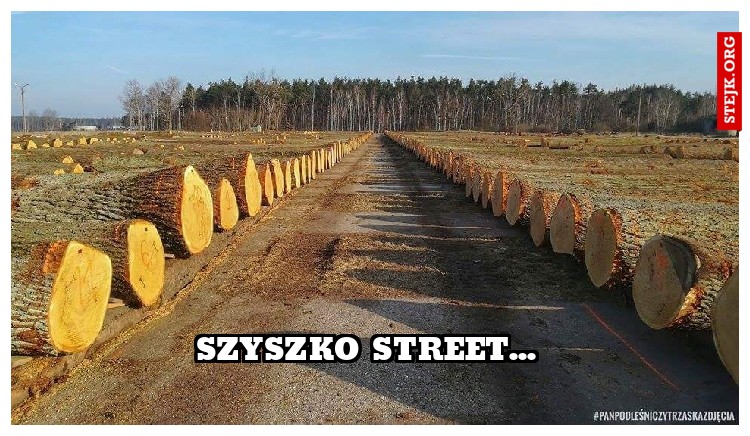 Szyszko Street... 
