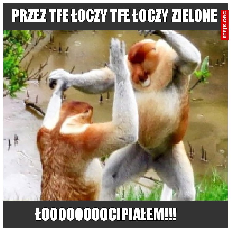 Przez tfe łoczy tfe łoczy zielone 
