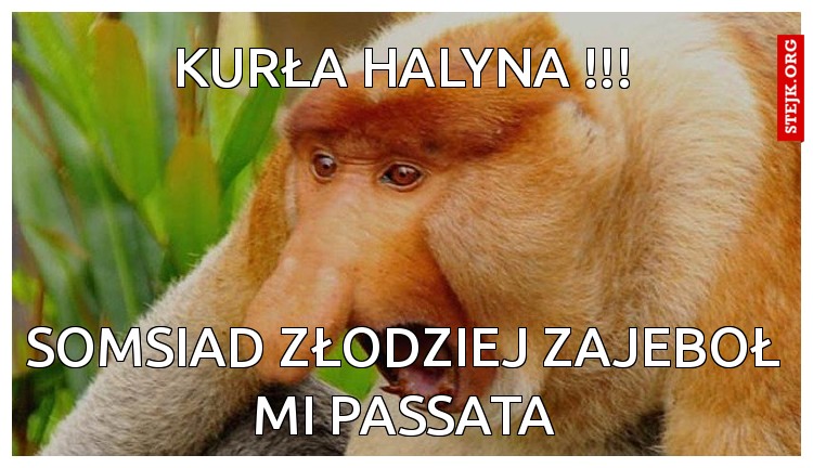 Kurła halyna !!!