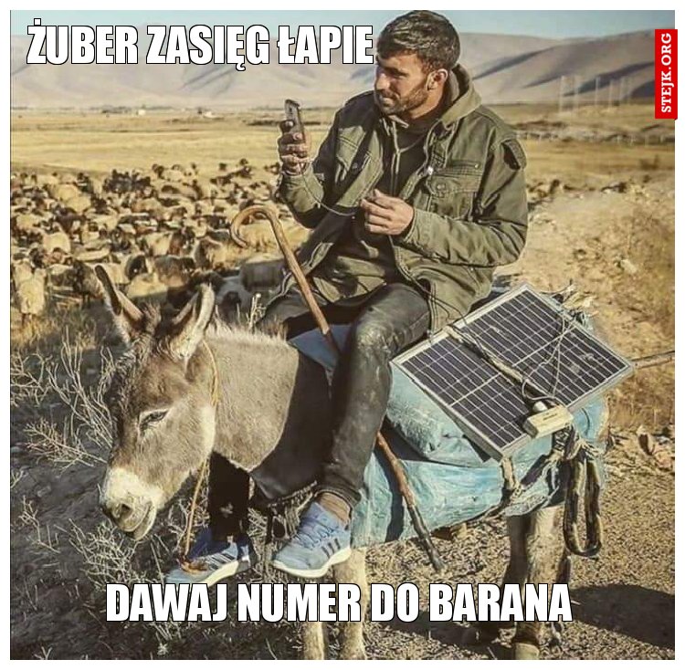 Żuber zasięg łapie