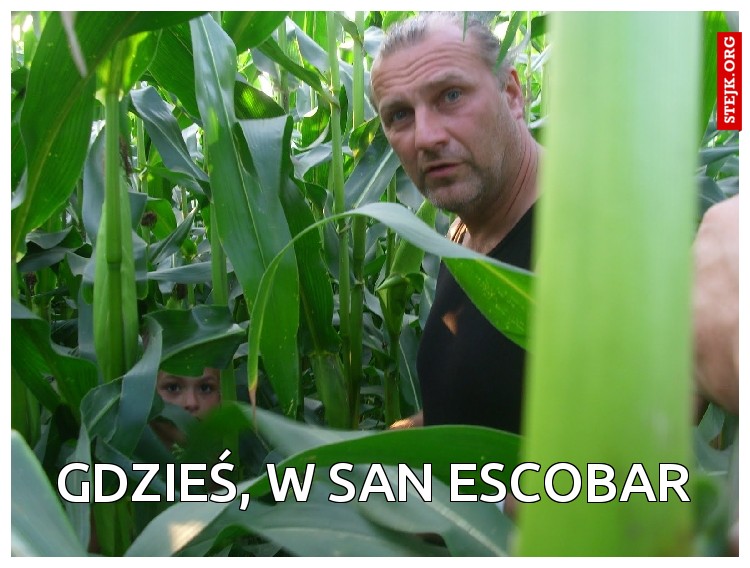 Gdzieś, w San Escobar